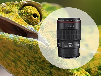 100mm macro tcm79 1429424